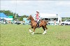 UKPA NC SAT_2425